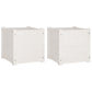 Plantenbakken 2 St 40X40X40 Cm Massief Grenenhout Wit