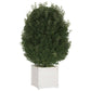 Plantenbakken 2 St 40X40X40 Cm Massief Grenenhout Wit