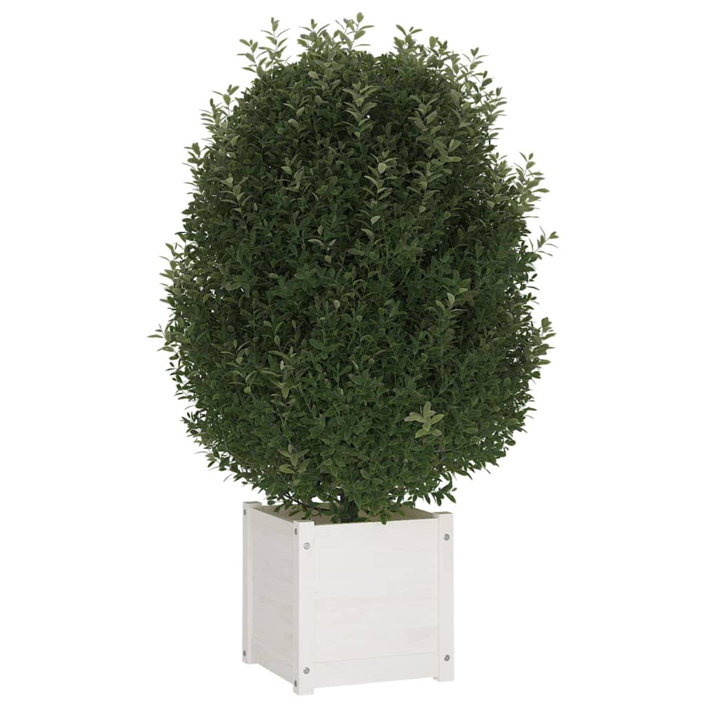 Plantenbakken 2 St 40X40X40 Cm Massief Grenenhout Wit