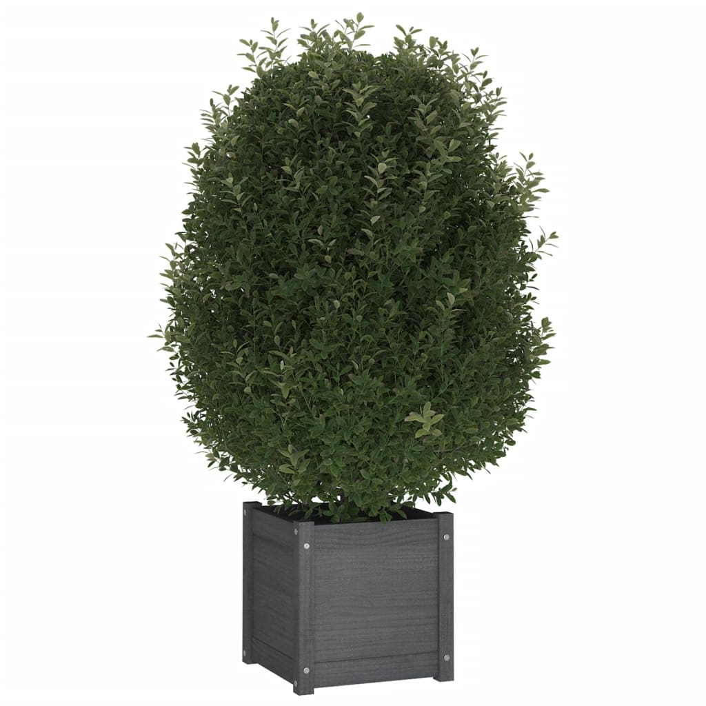 Plantenbak 40X40X40 Cm Massief Grenenhout Grijs