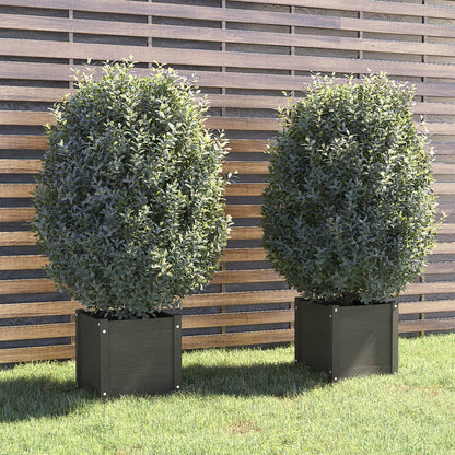 Plantenbakken 2 St 40X40X40 Cm Massief Grenenhout Grijs