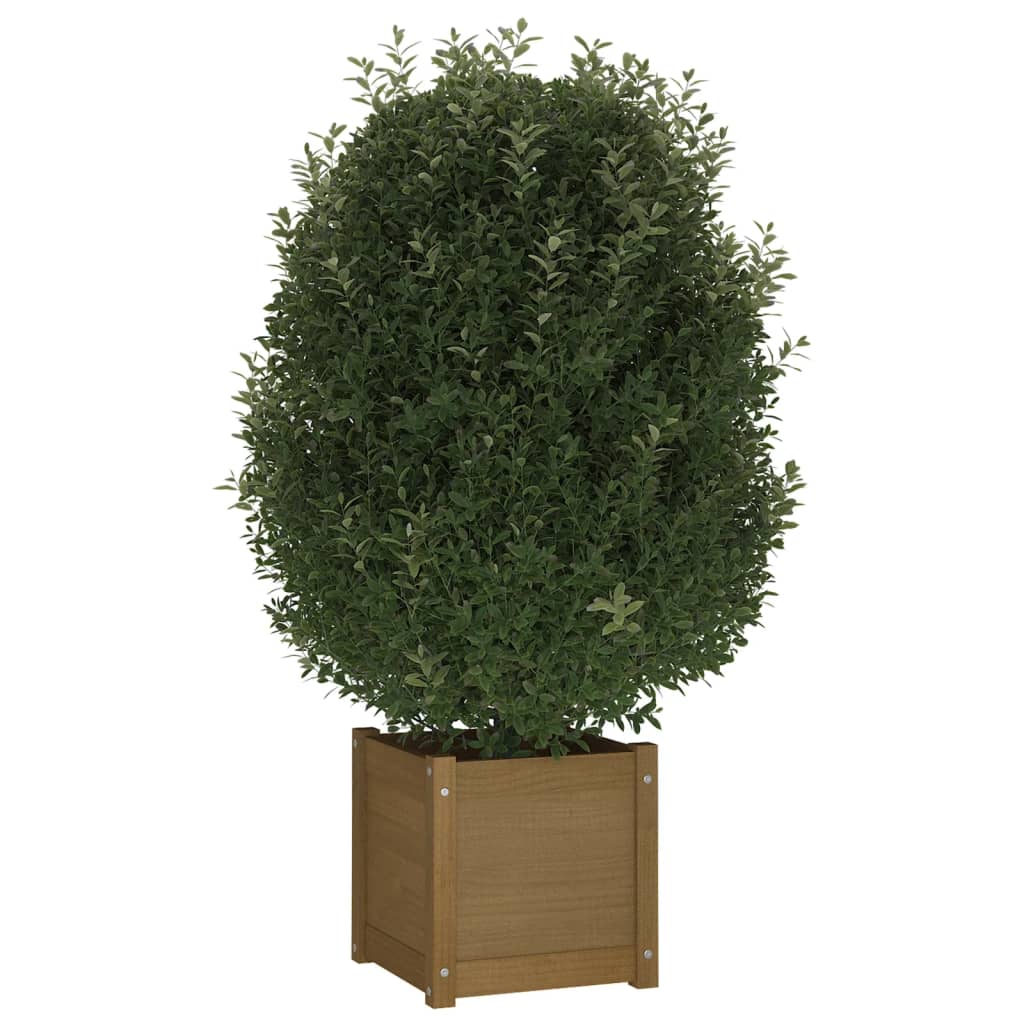 Plantenbak 40X40X40 Cm Massief Grenenhout Honingbruin