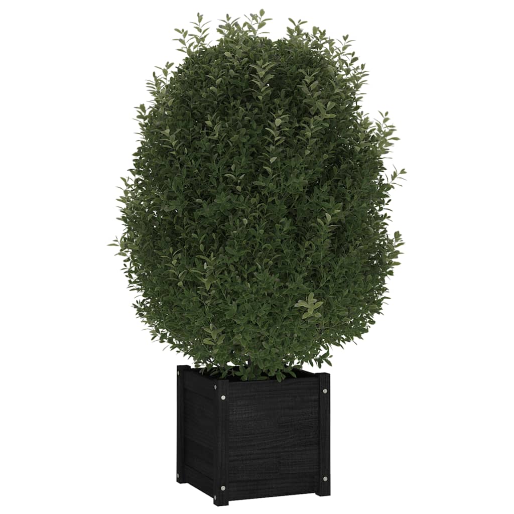Plantenbak 40X40X40 Cm Massief Grenenhout Zwart