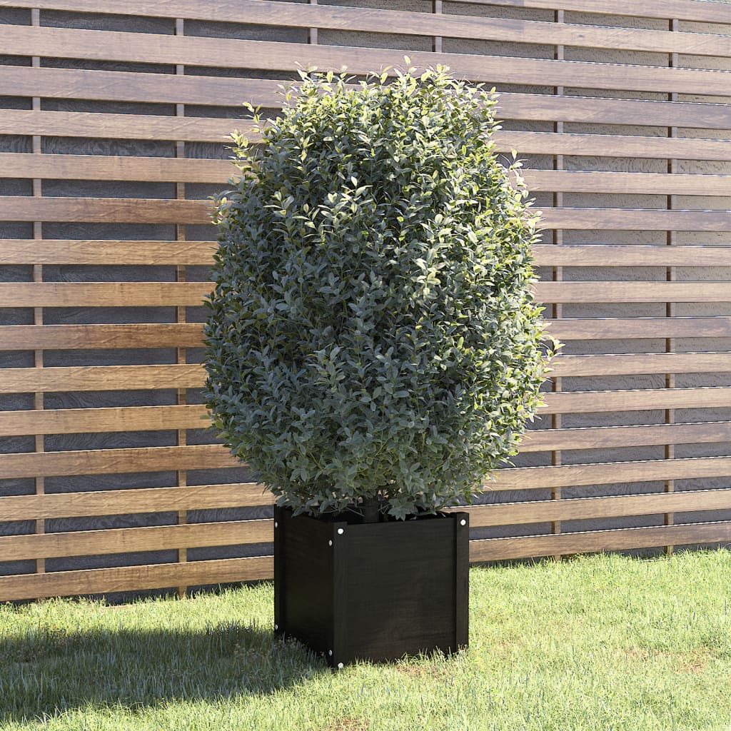 Plantenbak 40X40X40 Cm Massief Grenenhout Zwart