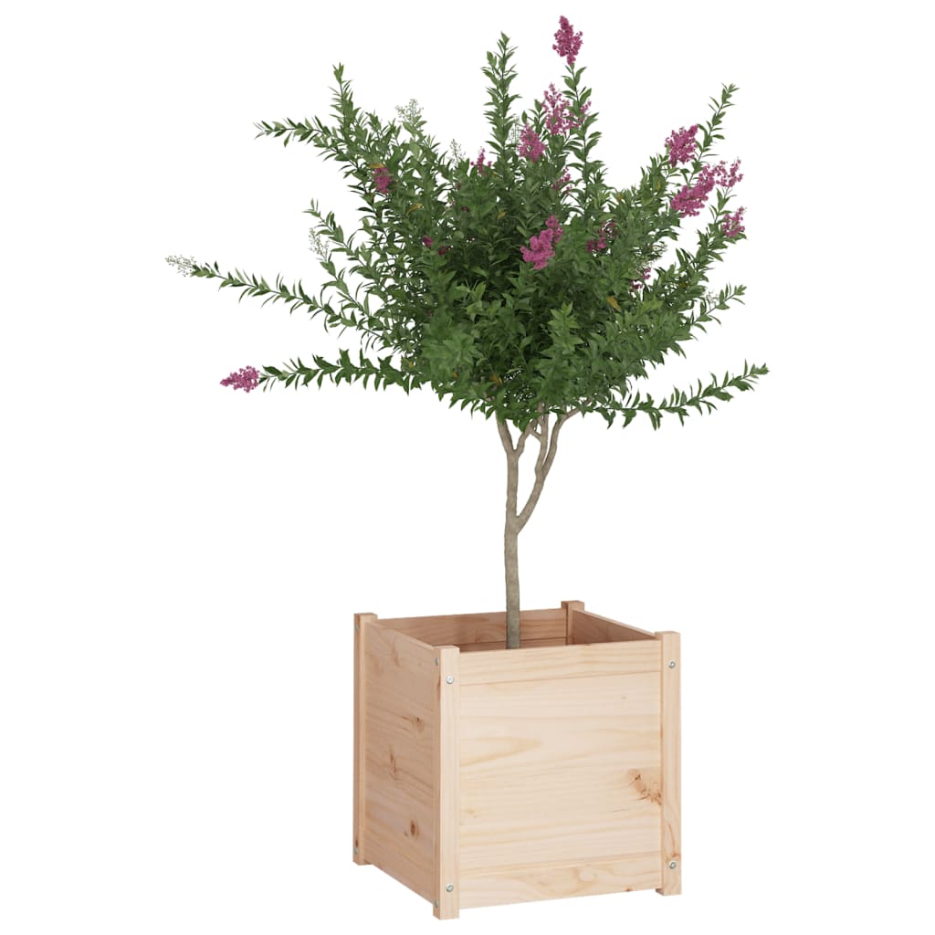 Plantenbak 50X50X50 Cm Massief Grenenhout