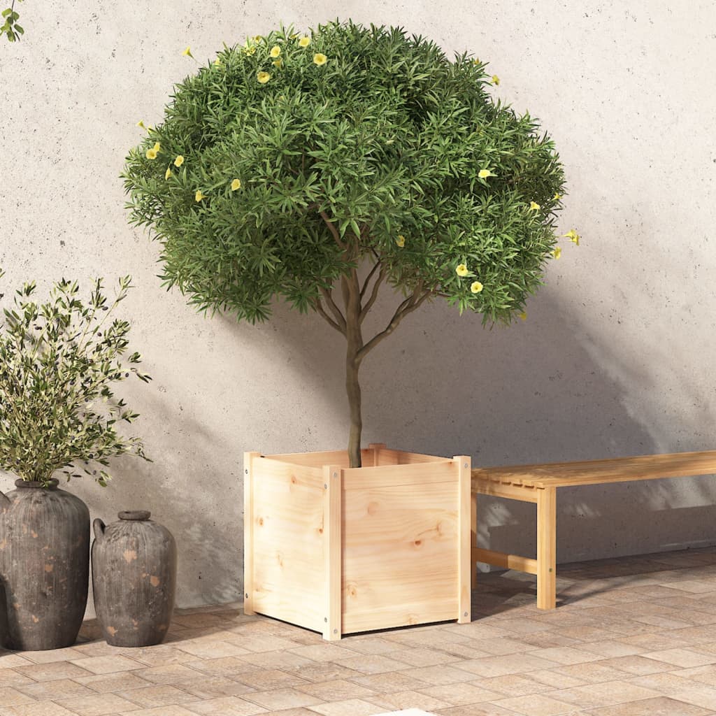 Plantenbak 50X50X50 Cm Massief Grenenhout