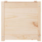 Plantenbakken 2 St 50X50X50 Cm Massief Grenenhout