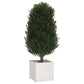 Plantenbak 50X50X50 Cm Massief Grenenhout Wit