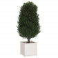 Plantenbakken 2 St 50X50X50 Cm Massief Grenenhout Wit