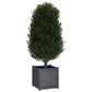 Plantenbak 50X50X50 Cm Massief Grenenhout Grijs