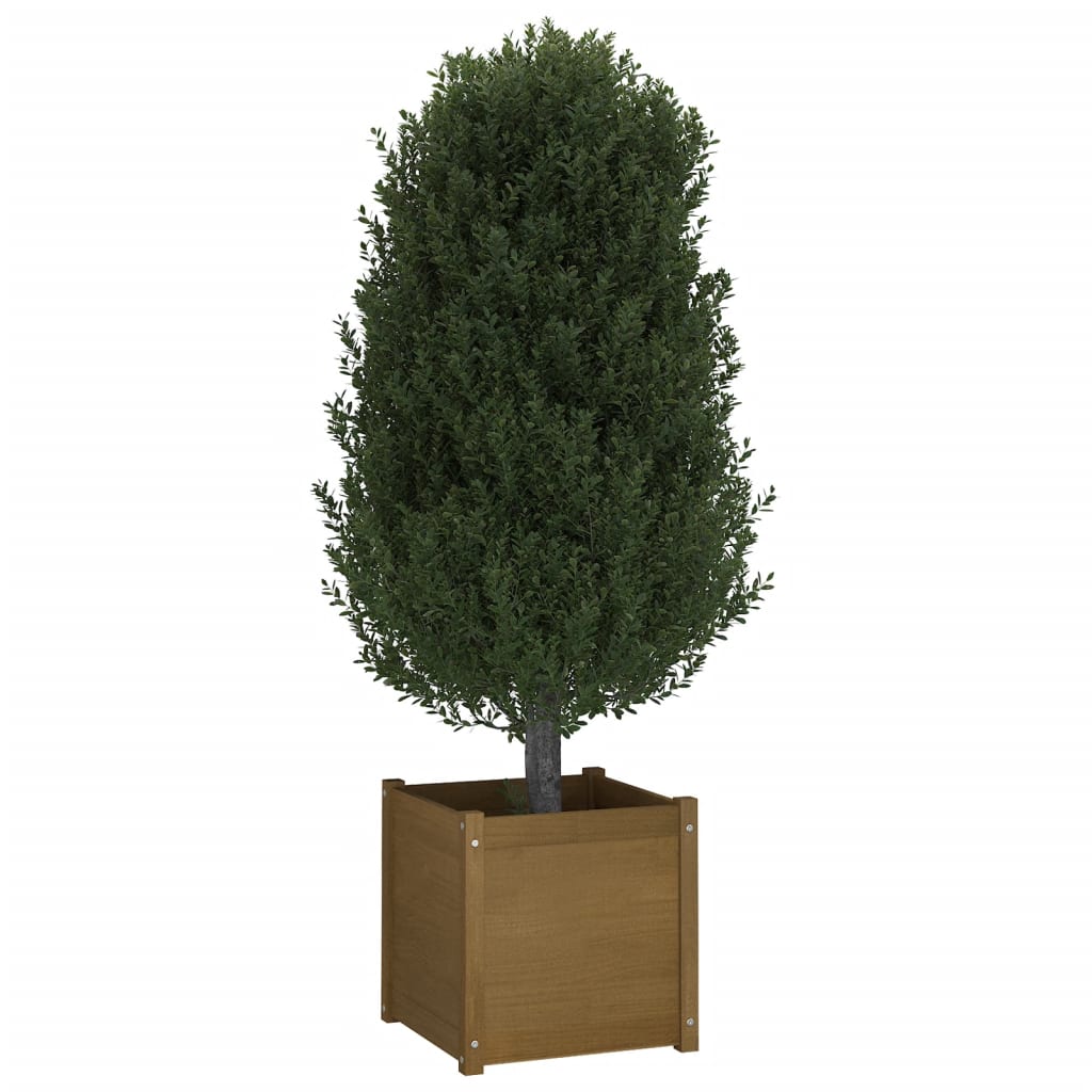 Plantenbak 50X50X50 Cm Massief Grenenhout Honingbruin