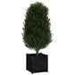 Plantenbakken 2 St 50X50X50 Cm Massief Grenenhout Zwart