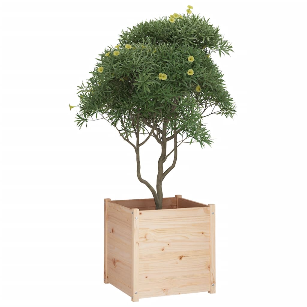 Plantenbak 60X60X60 Cm Massief Grenenhout