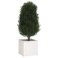 Plantenbakken 2 St 60X60X60 Cm Massief Grenenhout Wit