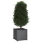 Plantenbak 60X60X60 Cm Massief Grenenhout Grijs