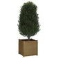 Plantenbakken 2 St 60X60X60 Cm Massief Grenenhout Honingbruin