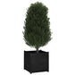 Plantenbakken 2 St 60X60X60 Cm Massief Grenenhout Zwart