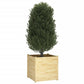 Plantenbak 70X70X70 Cm Massief Grenenhout