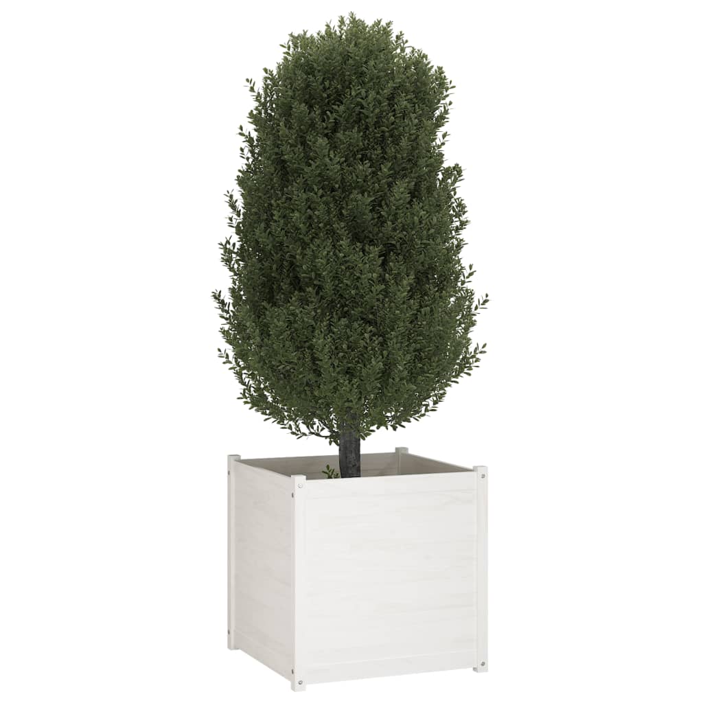 Plantenbak 70X70X70 Cm Massief Grenenhout Wit