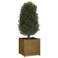 Plantenbak 70X70X70 Cm Massief Grenenhout Honingbruin