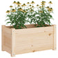 Plantenbak 60X31X31 Cm Massief Grenenhout
