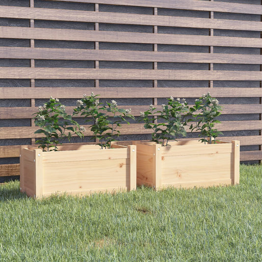 Plantenbakken 2 St 60X31X31 Cm Massief Grenenhout