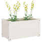Plantenbak 60X31X31 Cm Massief Grenenhout Wit