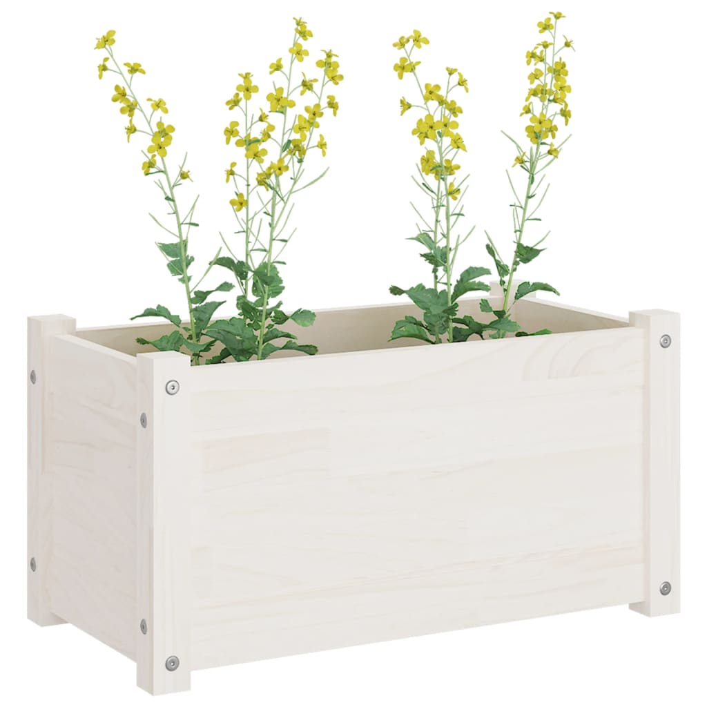 Plantenbakken 2 St 60X31X31 Cm Massief Grenenhout Wit
