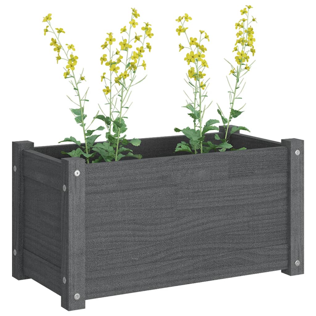 Plantenbak 60X31X31 Cm Massief Grenenhout Grijs