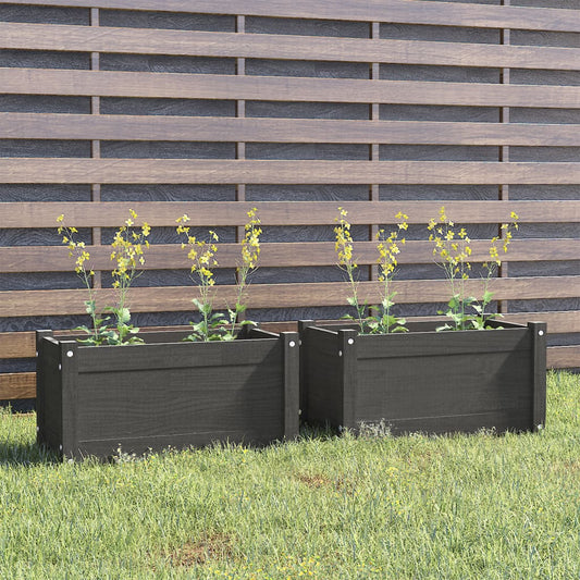 Plantenbakken 2 St 60X31X31 Cm Massief Grenenhout Grijs