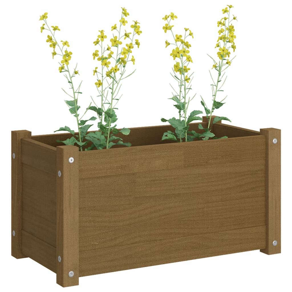 Plantenbak 60X31X31 Cm Massief Grenenhout Honingbruin