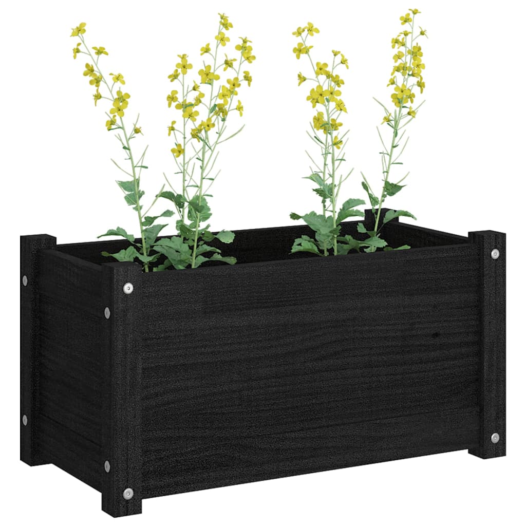 Plantenbakken 2 St 60X31X31 Cm Massief Grenenhout Zwart