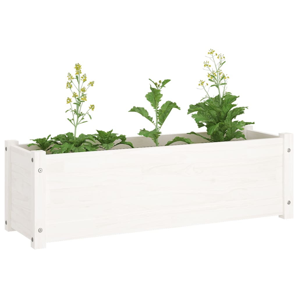 Plantenbakken 2 St 100X31X31 Cm Massief Grenenhout Wit