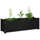 Plantenbak 100X31X31 Cm Massief Grenenhout Zwart