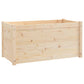 Plantenbakken 2 St 100X50X50 Cm Massief Grenenhout