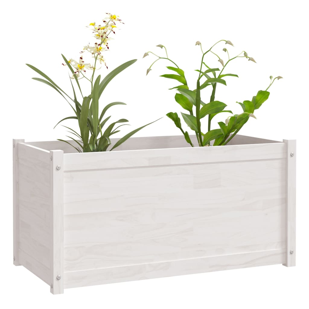 Plantenbak 100X50X50 Cm Massief Grenenhout Wit