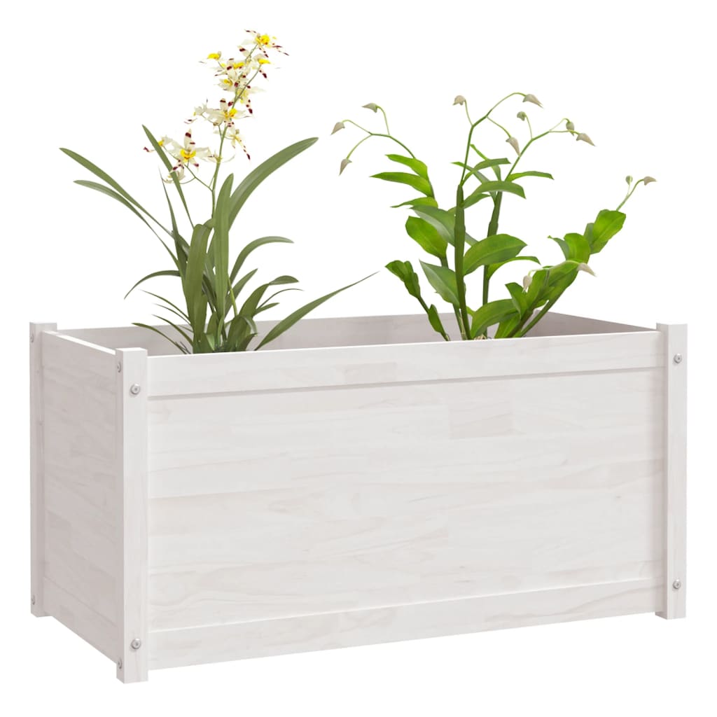 Plantenbakken 2 St 100X50X50 Cm Massief Grenenhout Wit