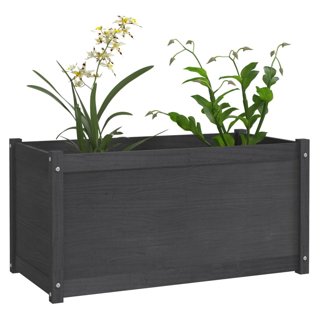 Plantenbak 100X50X50 Cm Massief Grenenhout Grijs