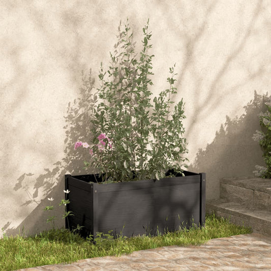 Plantenbak 100X50X50 Cm Massief Grenenhout Grijs