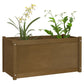 Plantenbak 100X50X50 Cm Massief Grenenhout Honingbruin