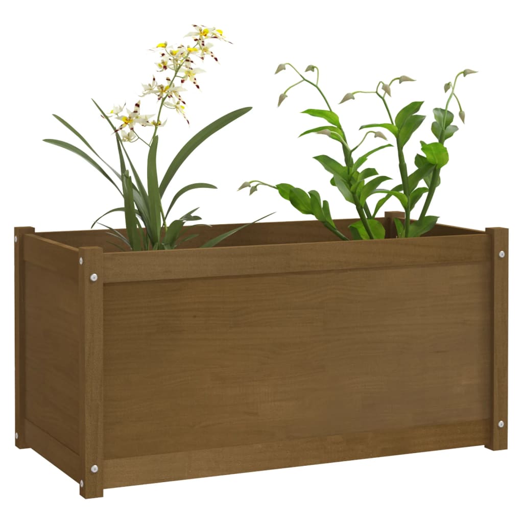 Plantenbak 100X50X50 Cm Massief Grenenhout Honingbruin