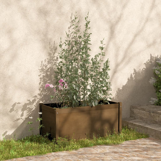 Plantenbak 100X50X50 Cm Massief Grenenhout Honingbruin