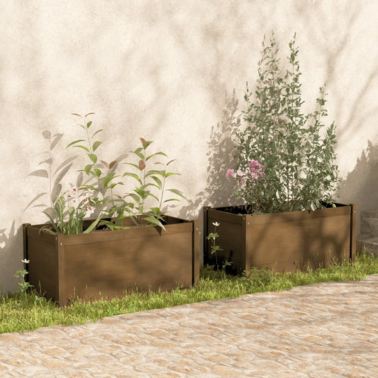 Plantenbakken 2 St 100X50X50 Cm Massief Grenenhout Honingbruin