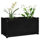 Plantenbak 100X50X50 Cm Massief Grenenhout Zwart