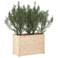 Plantenbak 100X50X70 Cm Massief Grenenhout