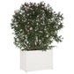 Plantenbak 100X50X70 Cm Massief Grenenhout Wit