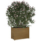 Plantenbak 100X50X70 Cm Massief Grenenhout Honingbruin