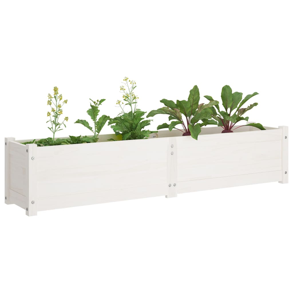 Plantenbak Verhoogd 150X31X31 Cm Massief Grenenhout Wit