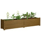 Plantenbak Verhoogd 150X31X31 Cm Massief Grenenhout Honingbruin