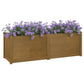 Plantenbak 100X50X50 Cm Massief Grenenhout Honingbruin